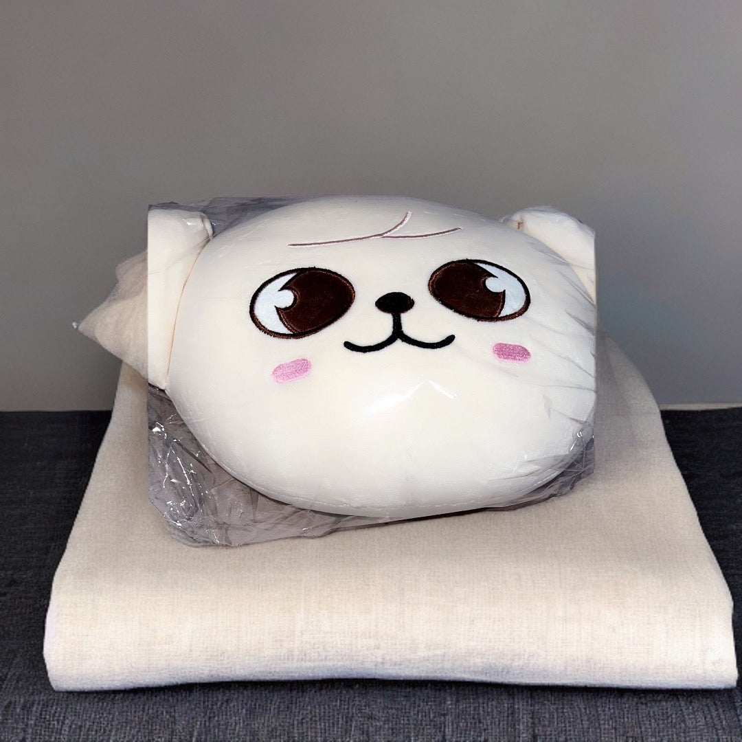 Pillow